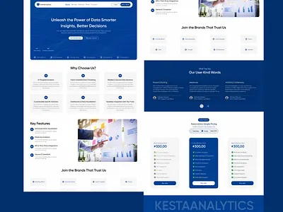 landing page for a Data Analysis Company. dataanalysis landingpage design ui