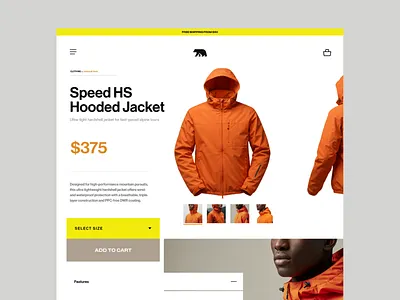 Bearx Mountain Experience - Ecommerce app branding color design illustration iphone logo page ui web