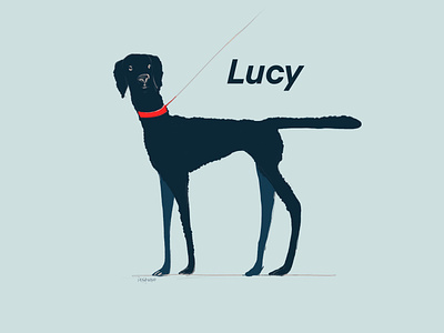 Lucy- my best furry friend 2d character characterdesign illustration procreate