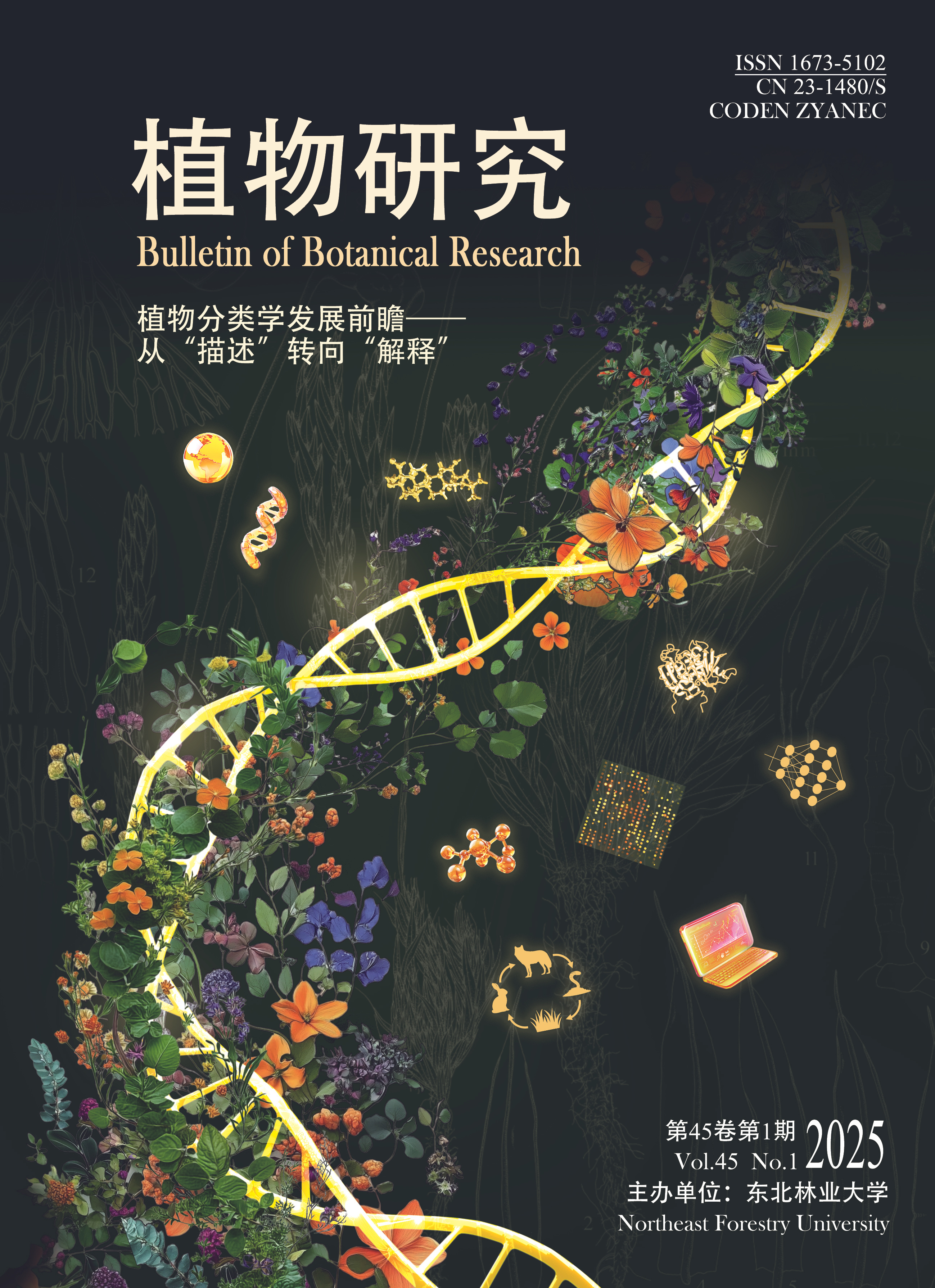 Modern plant taxonomy cover art flowers graphic design illustration plants scientific illustration taxonomy