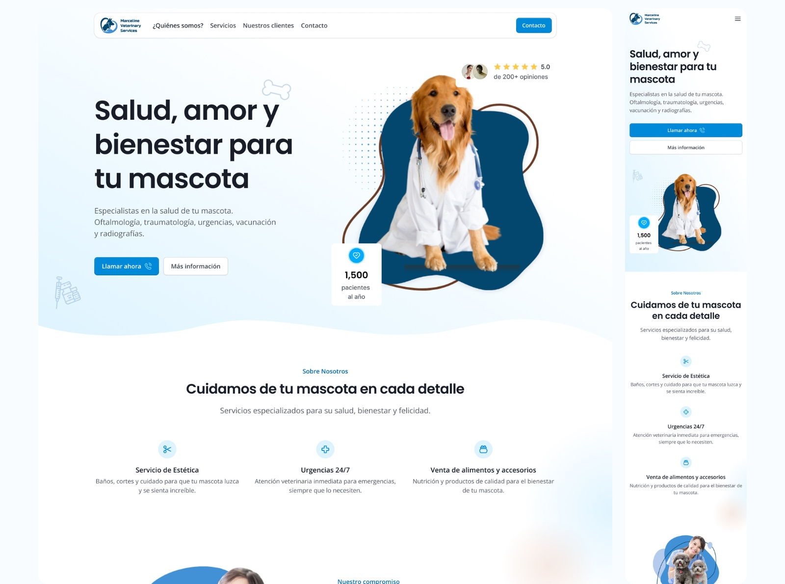 Example of Landing Page UI/UX Design