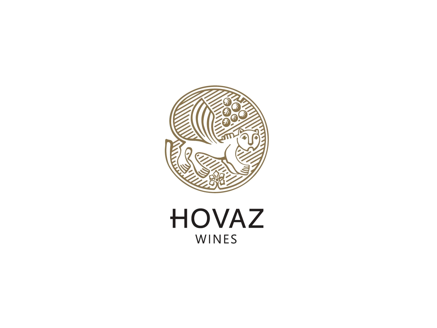 Logo Animation - Hovaz 2d animation animation branding logo motion graphic motiongraphics