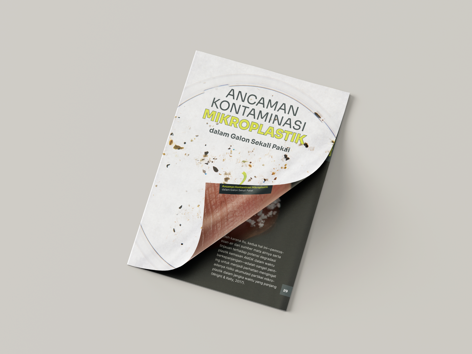 Example of Editorial Design (Magazine, Zine, Book)