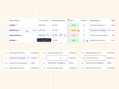 Table cell interaction action airtable apollo company crm edit field edit table field error state excell form error hubspot input error input field interaction saas salesforce table table cell table input field table interaction