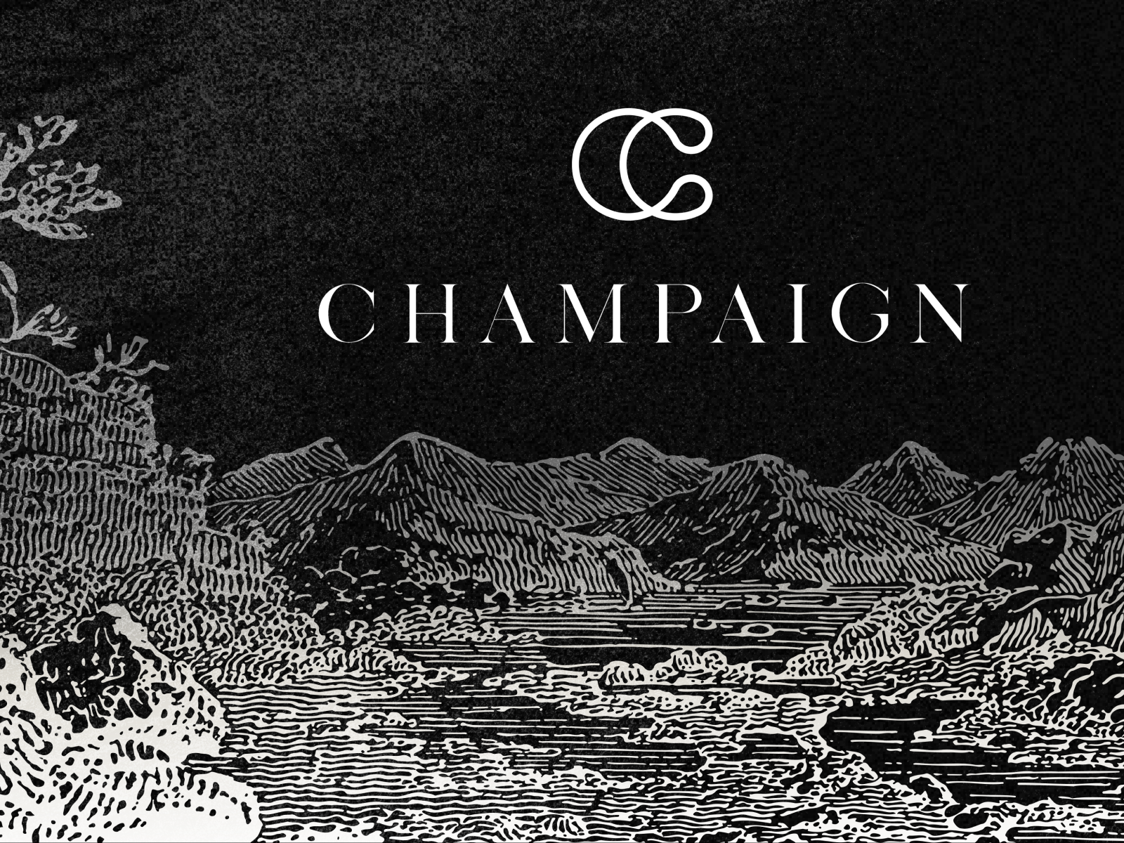 Example of Webflow Website Design & Development