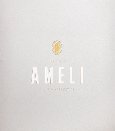 A Logo brand branding graphic design logo logotype