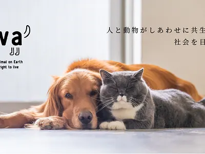 Banner for Animal welfare organization banner