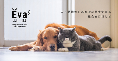 Banner for Animal welfare organization banner