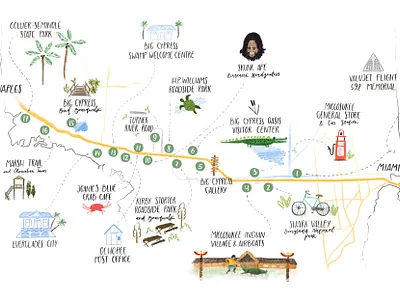 Map of USA, procreate art artistic design draw illustration illustrator map procreate road usa