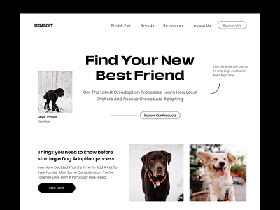 Animal Web Site Design: Landing Page / Home Page UI adobe xd branding daily ui design figma home page landing page logo minimal ui ui ui ux design uiux user experiene user interface ux ux design web webdesign website website design