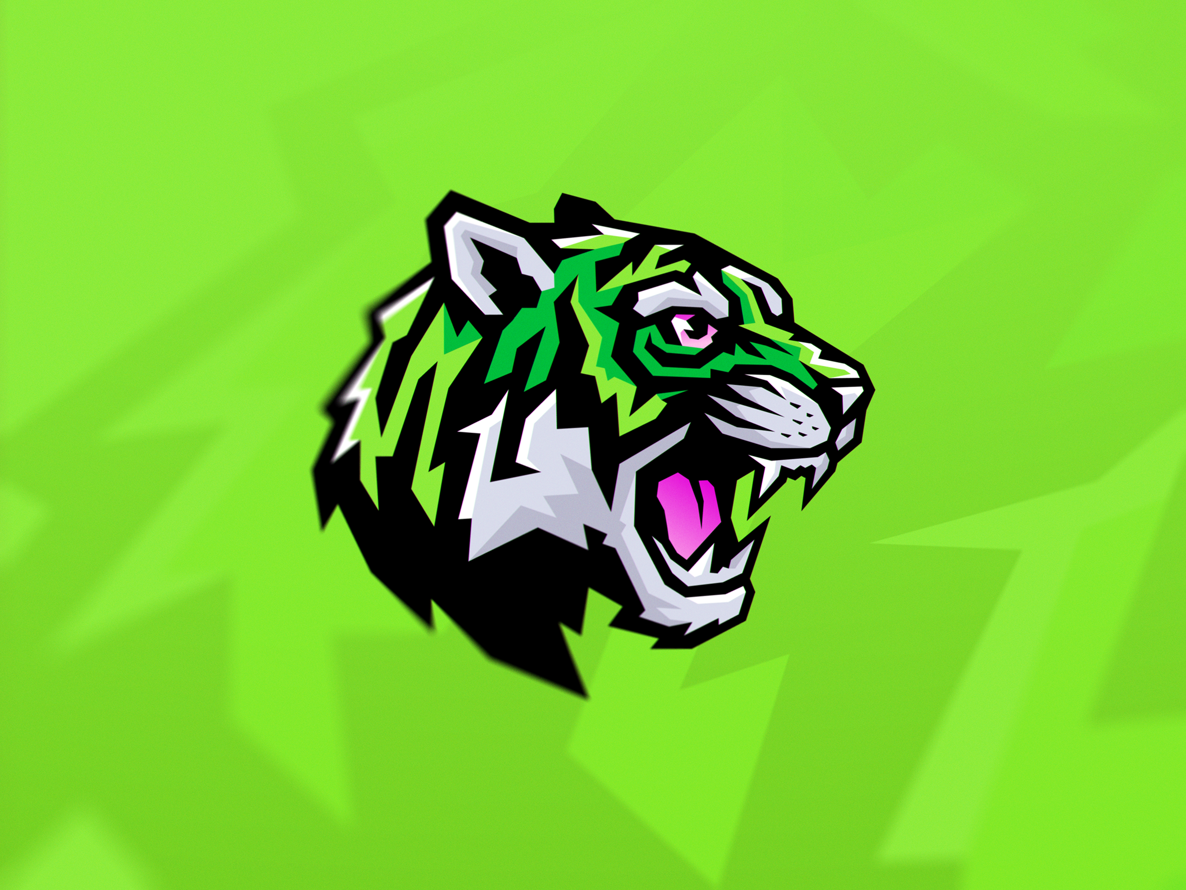 Tiger — Illustration branding cat eye figma graphic design gray green illustration logo mascot predator sticker tiger vector
