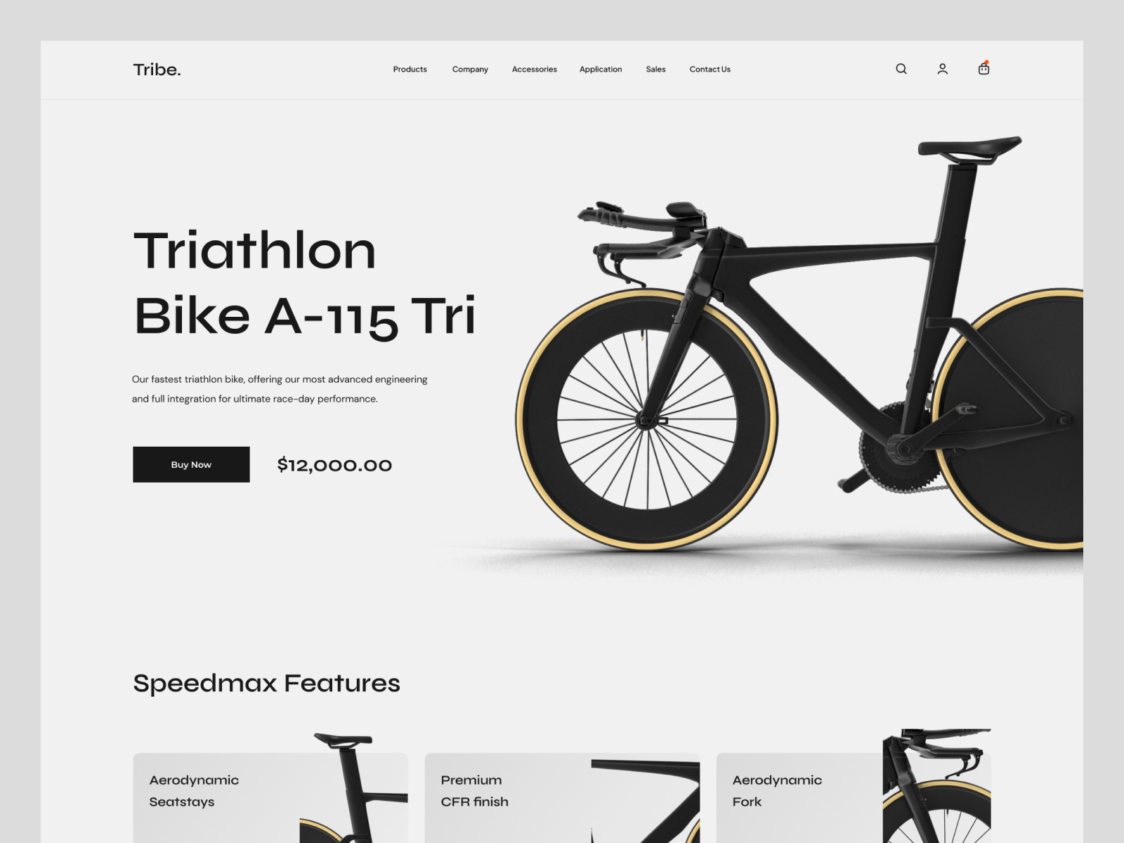 Example of eCommerce for Triathlon Bicycles
