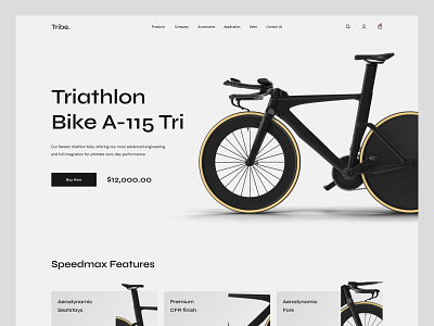 eCommerce for Triathlon Bicycles agency bicycle bike clean cycle design ecommerce figma shop store triathlon bike ui ux web design