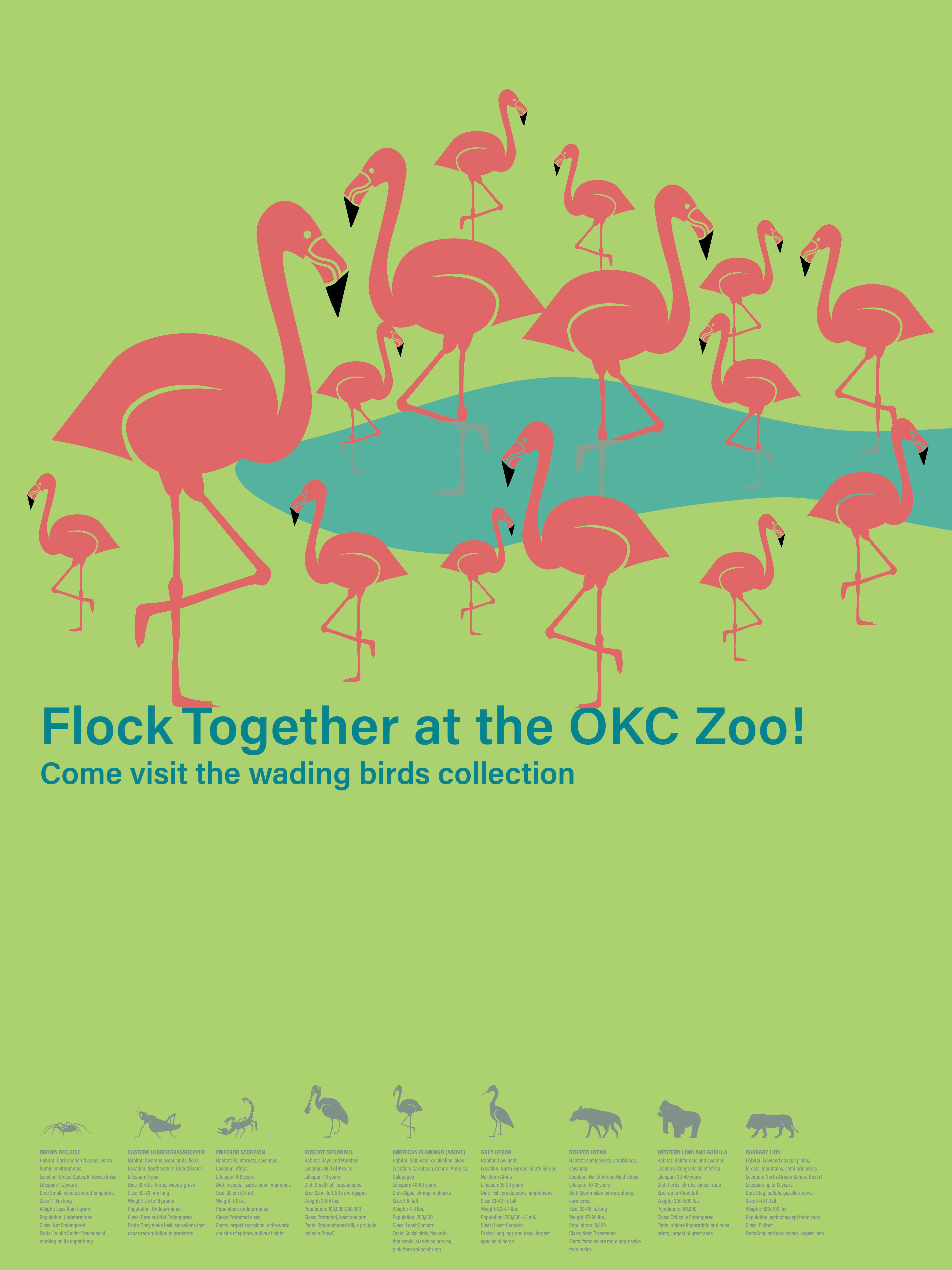 OKC Zoo animal symbol poster, Student work, 2025 adobe adobe illustrator adobe indesign animals color flamingo graphic design illustration poster student work zoo