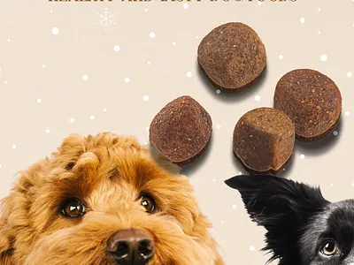 Dog food brand branding graphic design