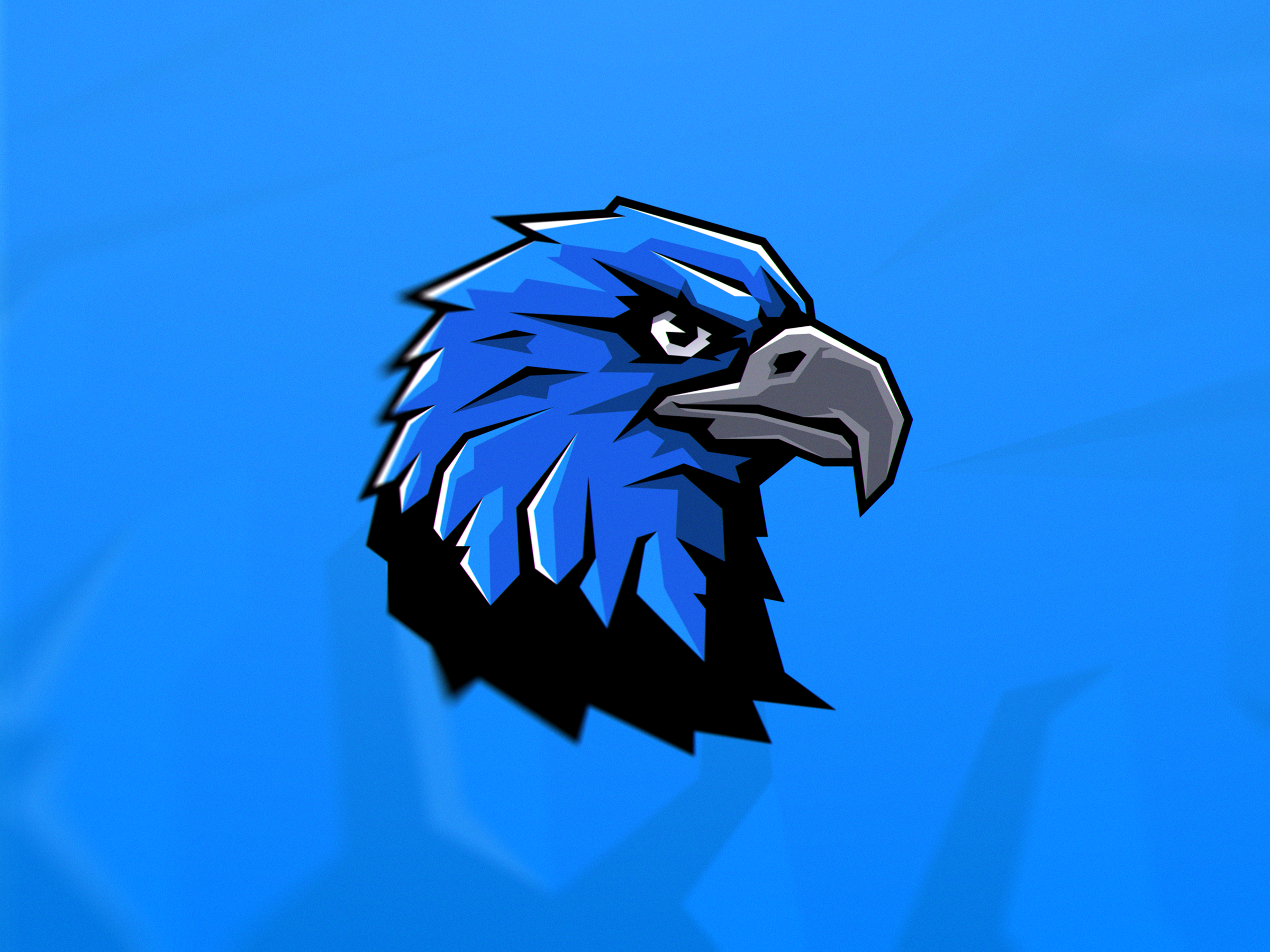 Eagle — Illustration bird blue branding eagle eye figma graphic design gray illustration logo mascot predator sticker vector