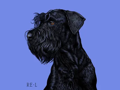 Giant Schnauzer Pet Portrait adobe fresco black blue cross hatching digital art dog drawing family pet giant schnauzer hatching hypoallergenic dog illustration ipad pro large dog periwinkle pet portrait purple re l realism schnauzer working class dog