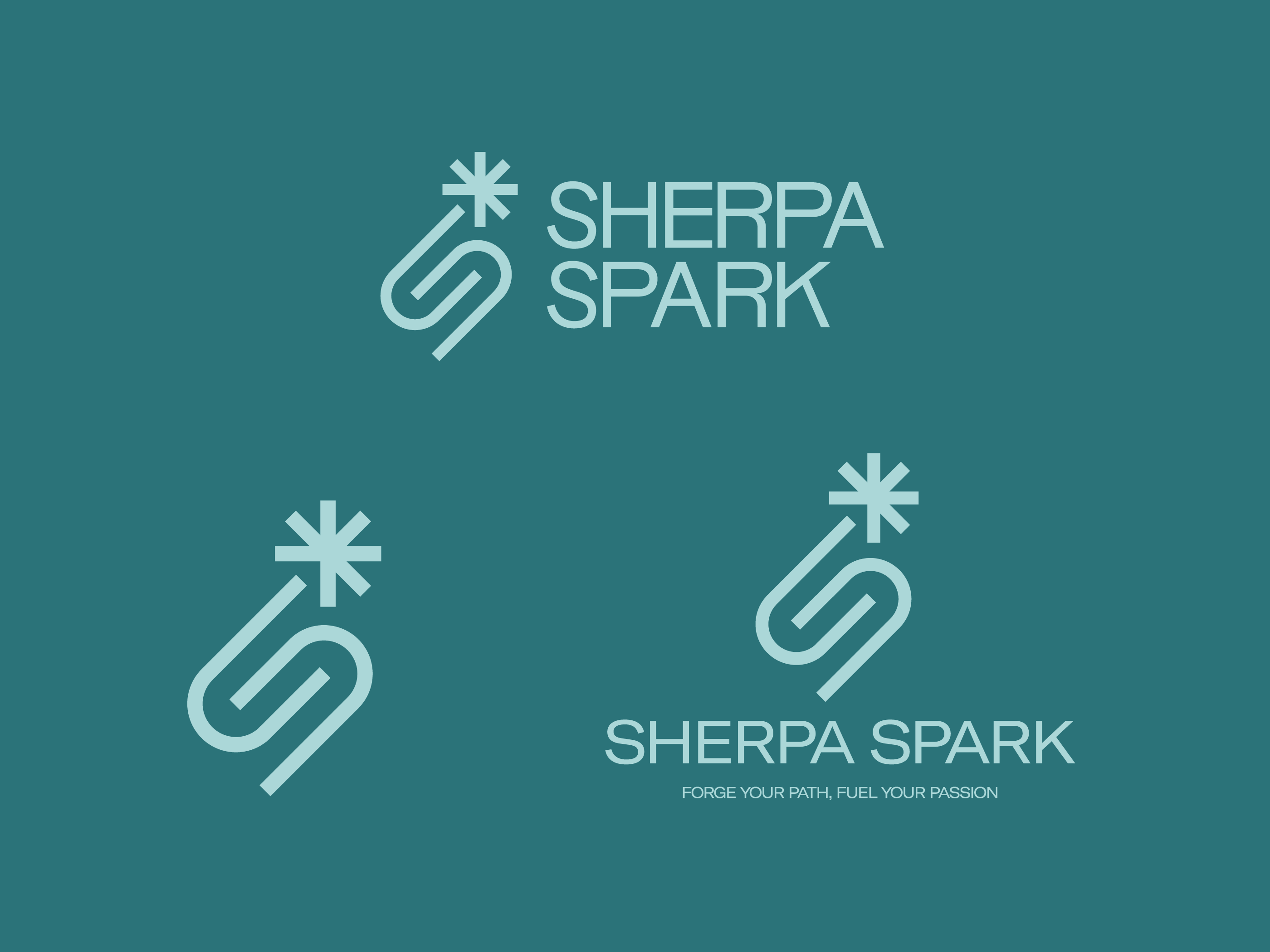 Example of Logo Design & Brand Identity Package