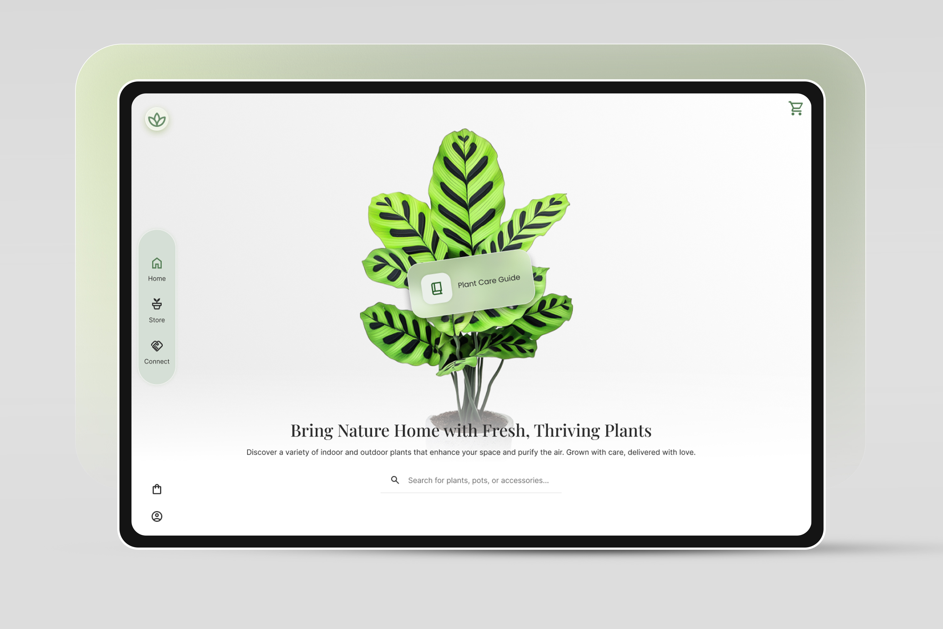 Example of UI/UX Design