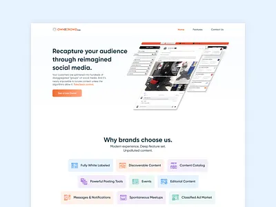 OwnTheCrowd.com brand branding design graphic design illustration modern ui ux web web design website