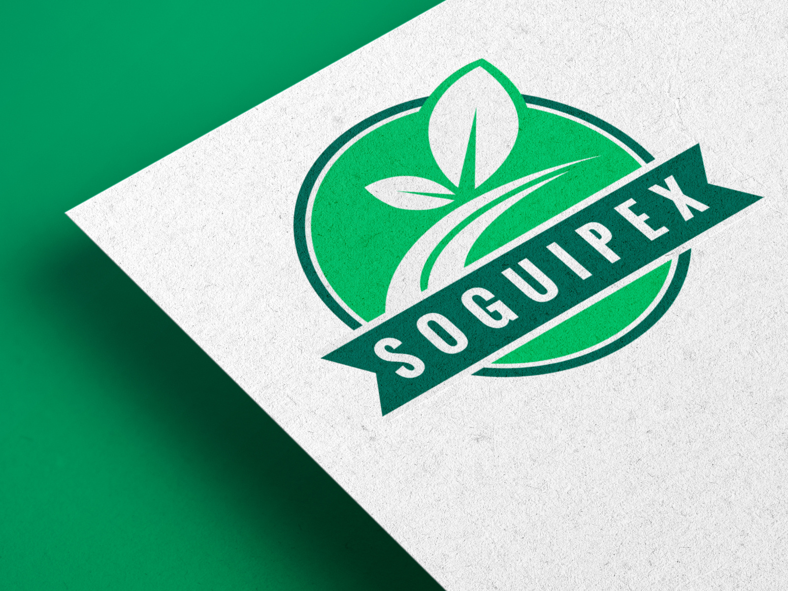 SoguiPex Logo Design 3d graphic design logo motion graphics