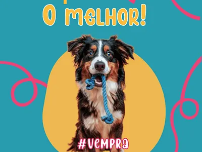 Muito obrigado! graphic design