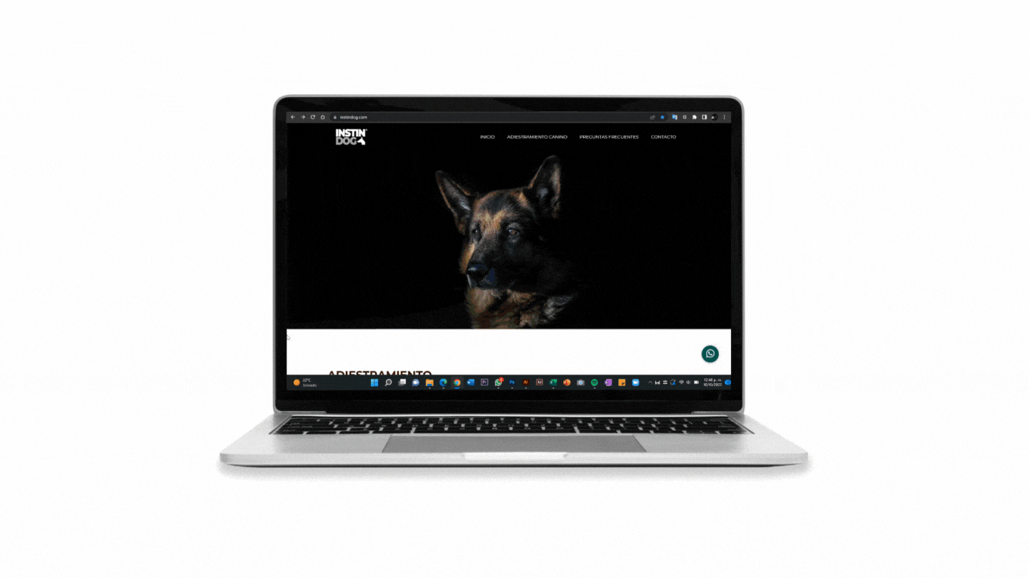 Web Desing | INSTINDOG. club design dog graphic design landingpage logo marketing mkt ui ux website