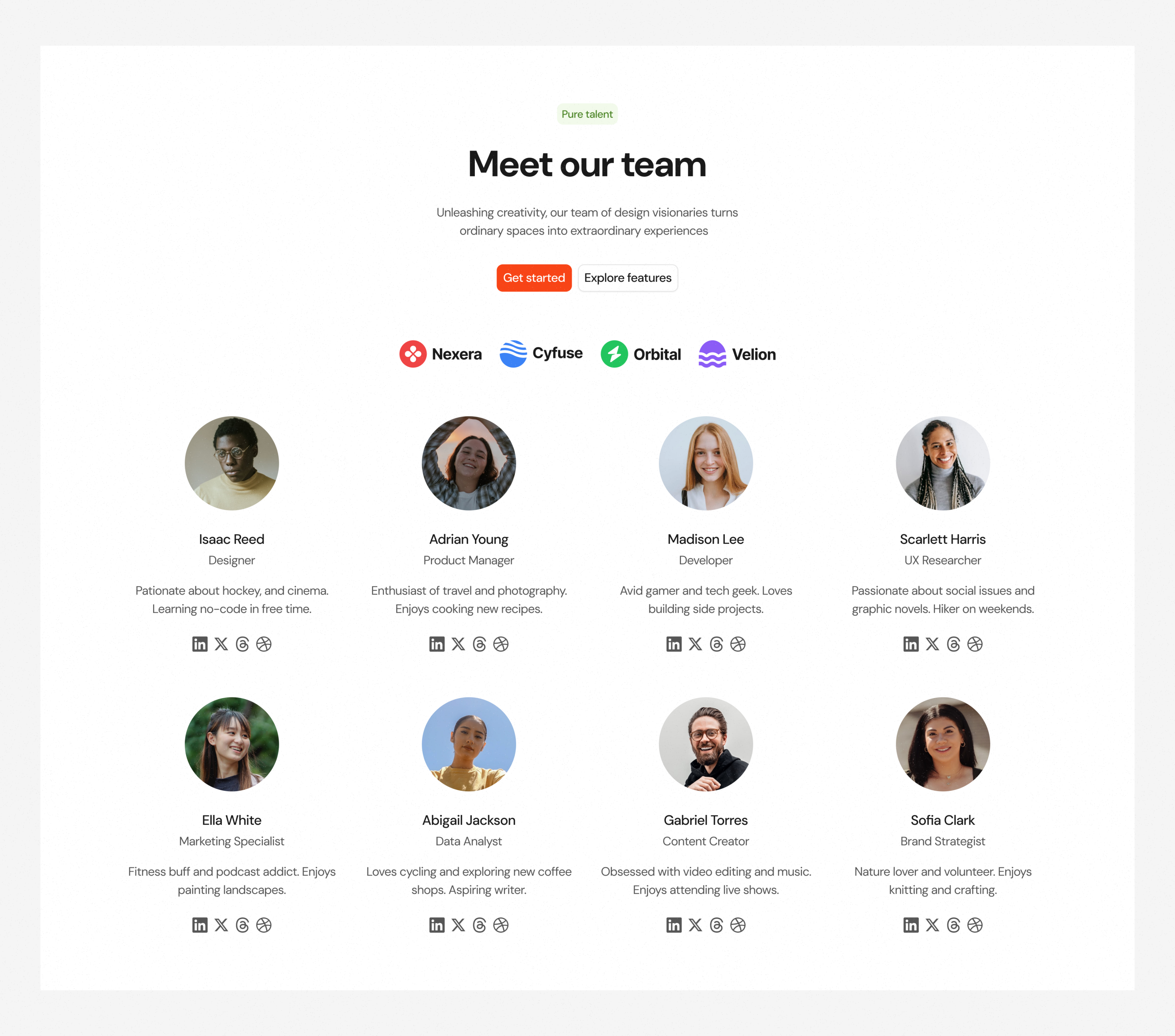 Team Section · Koala UI about design system koala koala ui landing page light mode light theme marketing product design team ui kit
