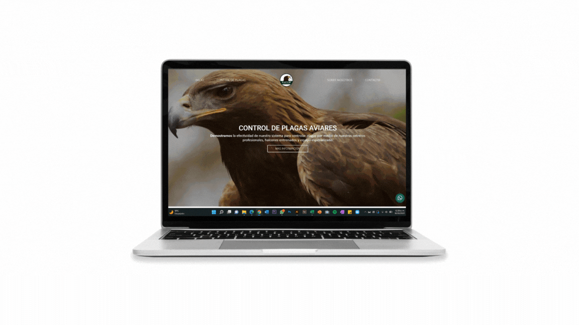 Web Desing | RAPTOR. design graphic design illustration landingpage logo mexico ui ux webdesing