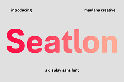 Seatlon Sans Display Font animation branding font fonts graphic design illustration logo nostalgic