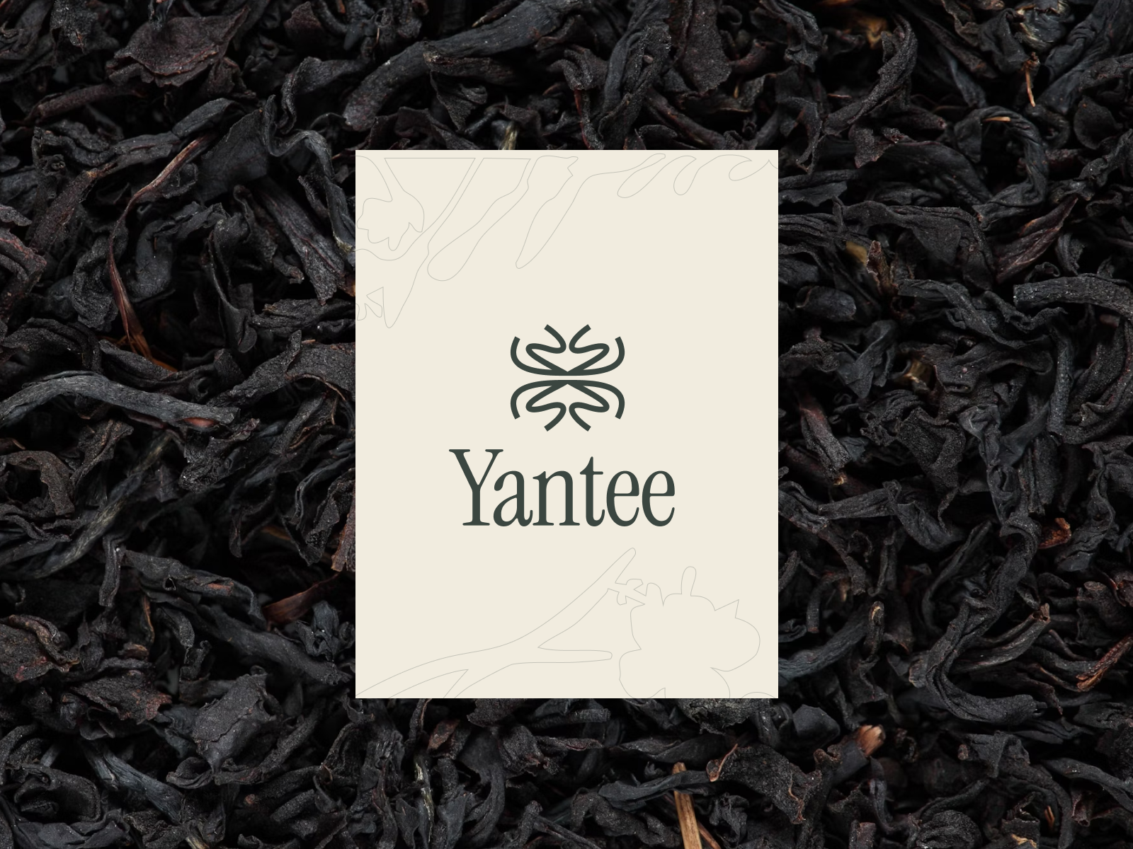 Example of Yantee Branding Tea Company