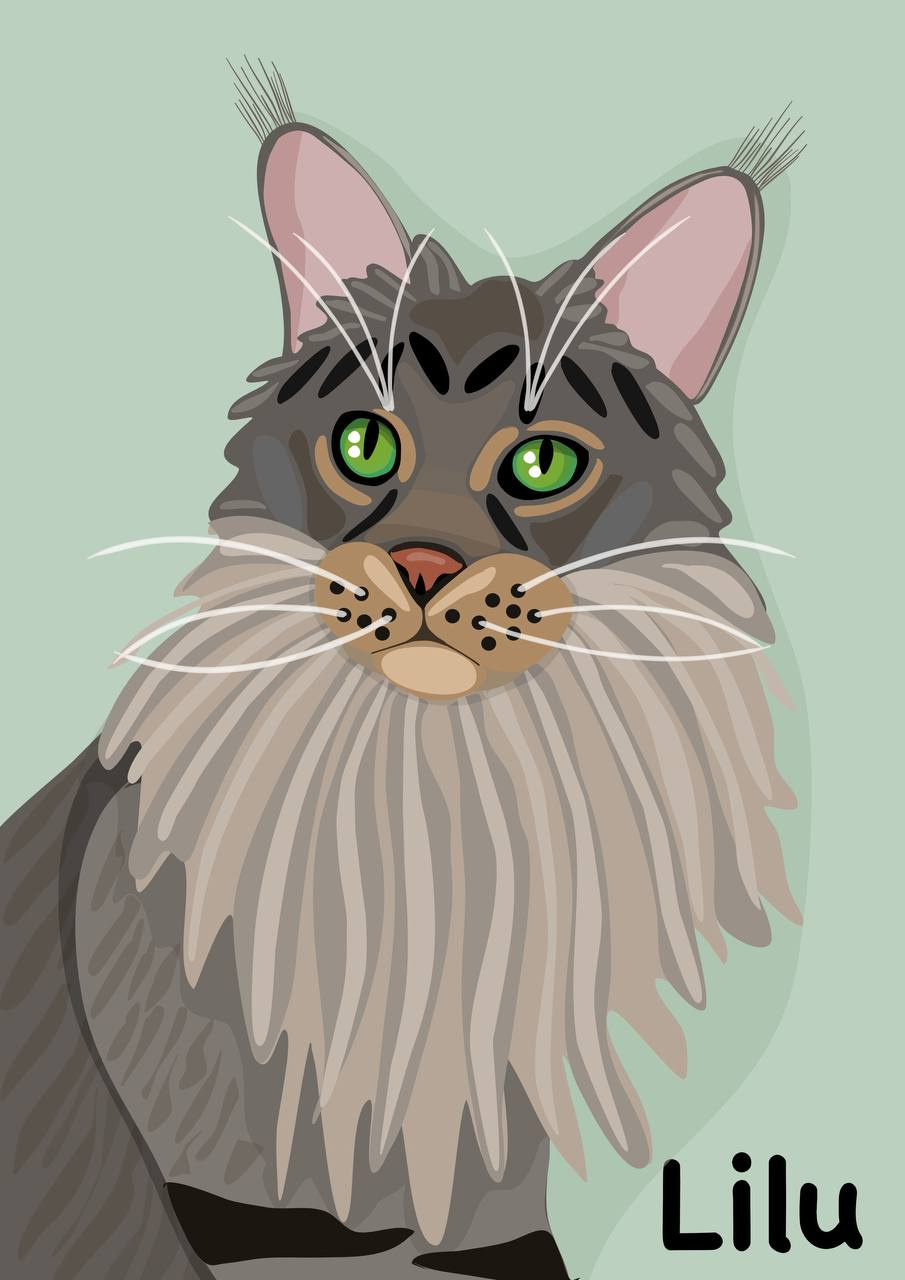 Maine Coon Vector Portrait cat pet portrait vector