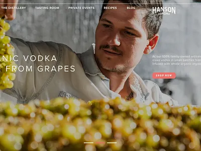 Hanson of Sonoma american branding design graphic design illustration ui web design web development webflow wordpress