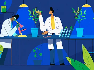 Eucalyptus trees brazil eucalyptus illustration motion graphics paper production texture