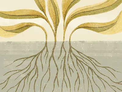 Rooted digital illustration graphic design illustration leaves roots