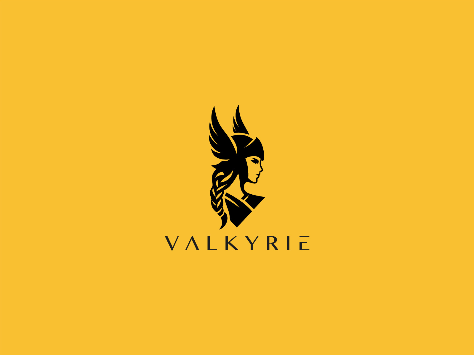 Example of Valkyrie Logo