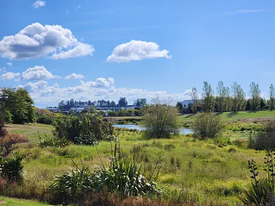NZ Park