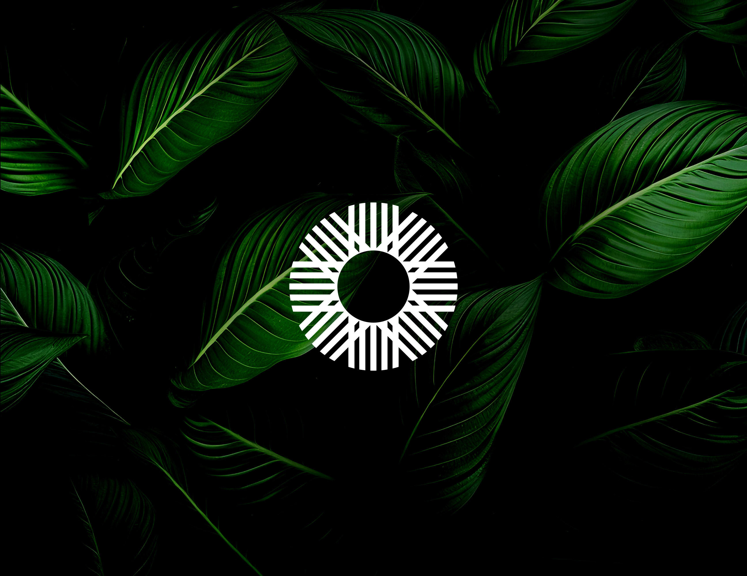 El Sol branding brandy icon jungle logo logobrand sol sol icon sun sun icon tropical