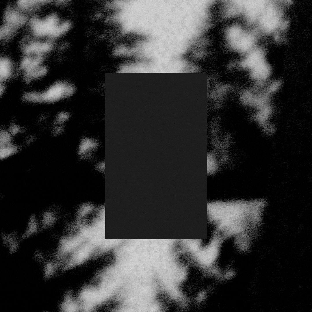 Shadow Trees 𓇢𓆱 abstract animation gif graphics minimalism motion graphics