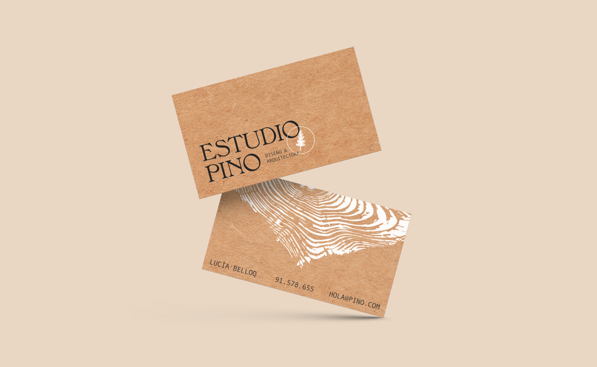 Example of Complete Brand Design