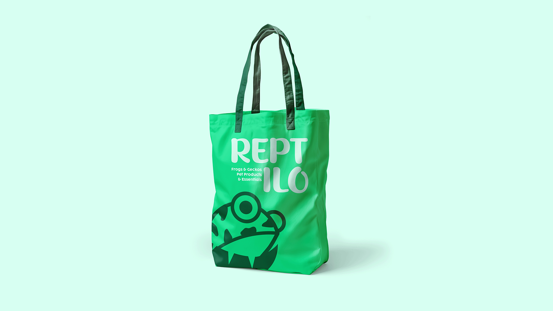 Reptilo - Brand Identity Design branding graphic design logo