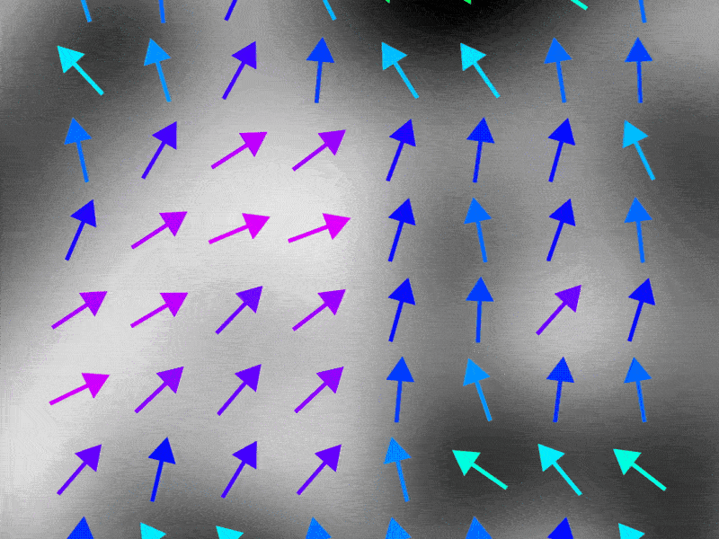 Field Force in MoglyphFX Shader Effector 2d after effects animation arrows design experiment motion script tool vector