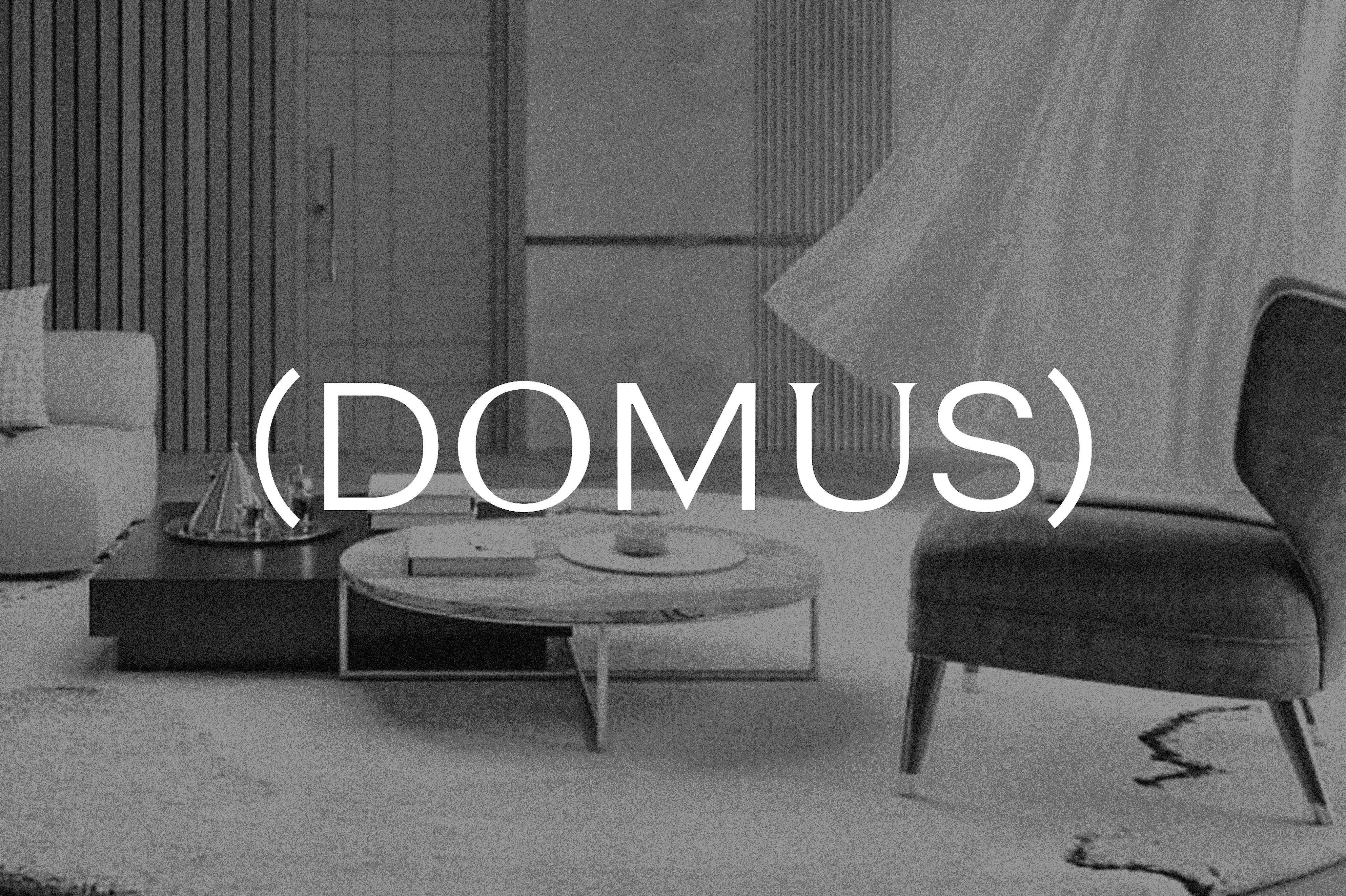 Domus Realty Art art brand identity branding design graphic design logo logo design real estate real estate art visual identity