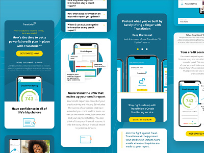 TransUnion :: Mobile Overview blue business credit credit report credit score credit theft financial fraud protection homepage identity theft landing page mobile design mockup money risk score uiux user friendly web design website