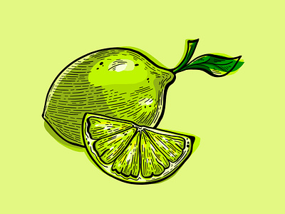 Lime Illustration adobe branding citrus design digital illustration drawing flat fruit illustration illustration art illustrator lime line art lino procreate simple tacos tequila vector wood carving