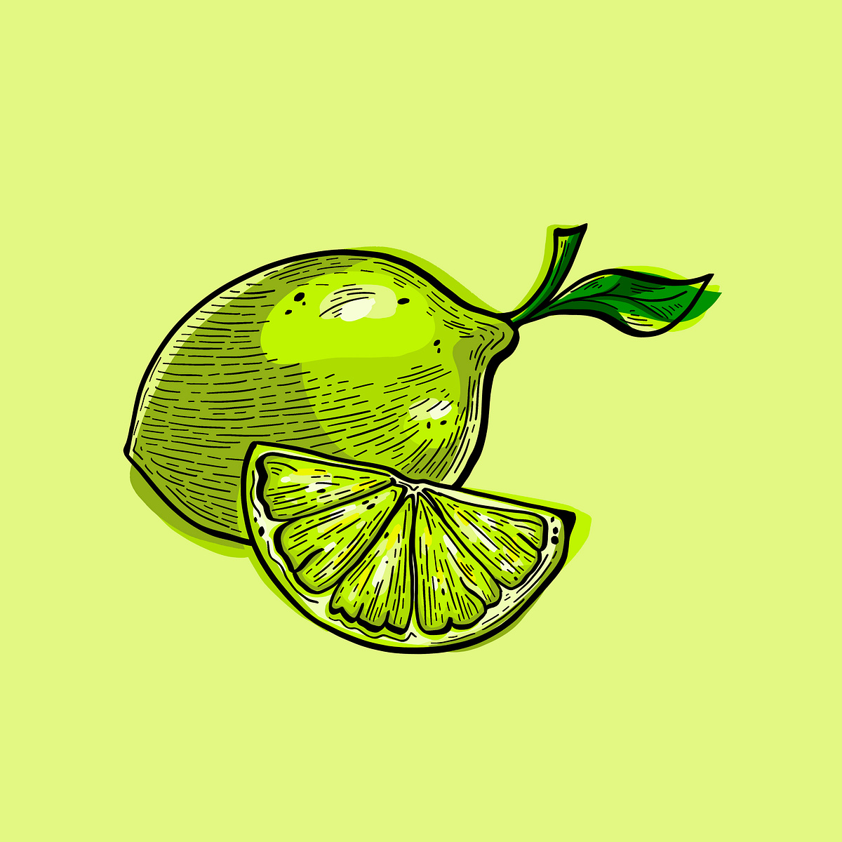 Lime Illustration by Jen Borror | Hoot Design Studio on Dribbble