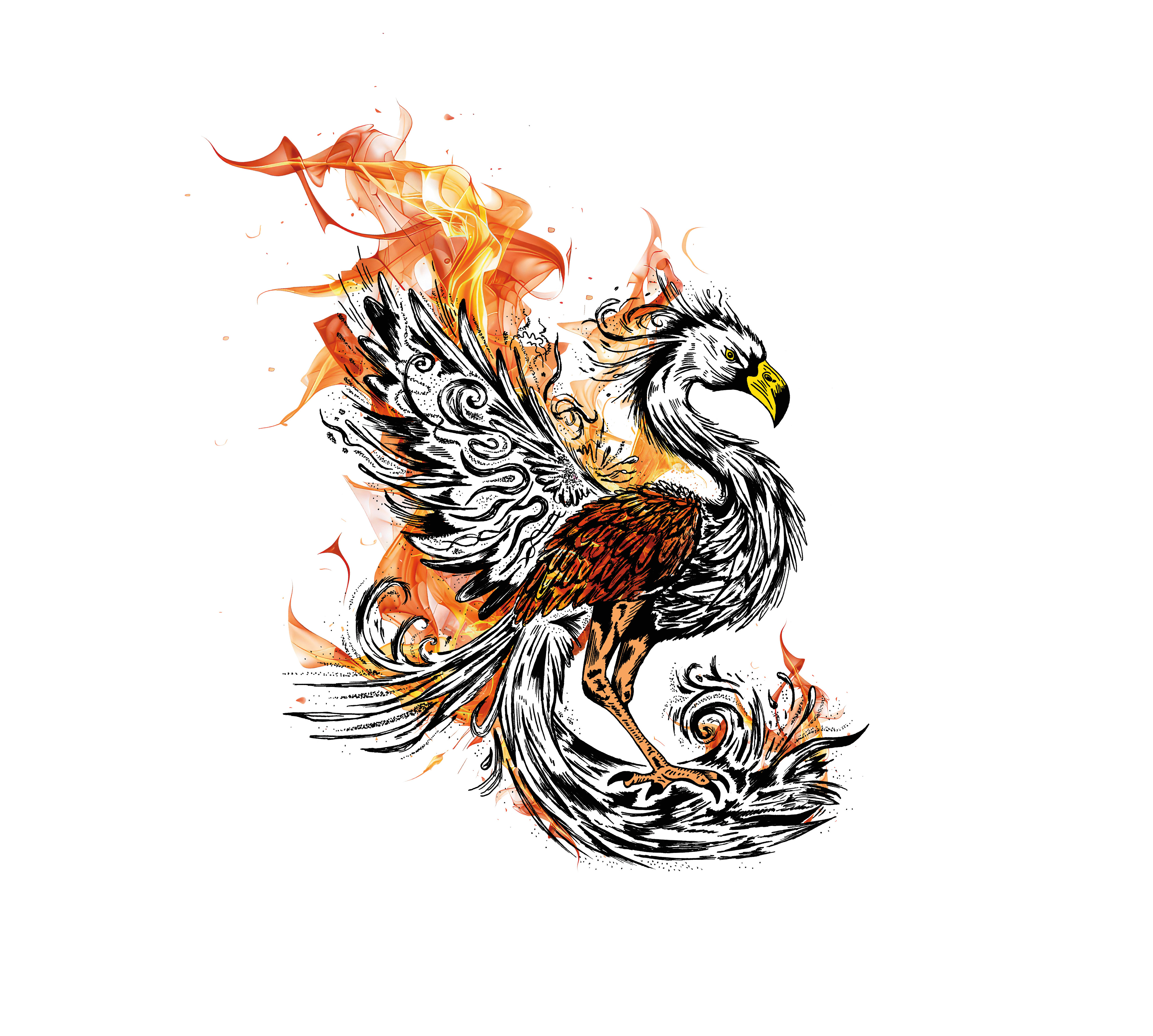 Flamingo Phoenix animal bird book art book cover character creature design feathers fire flames flamingo hand drawn hybrid illustration illustration art illustrator phoenix spot illustration wings