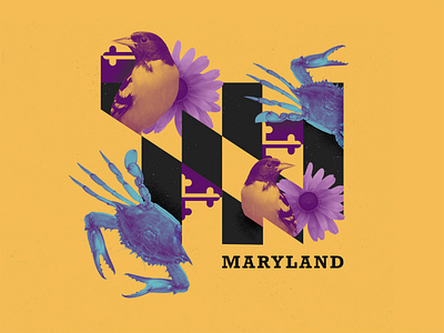 Maryland Pride collage crabs flag illustration maryland social media