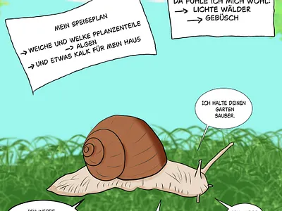 Infografik Weinbergschnecke forkids graphic design infografic snail