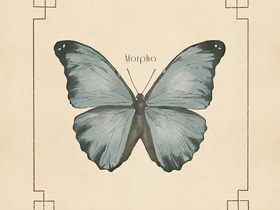 Vinyl for Band butterfly drawing